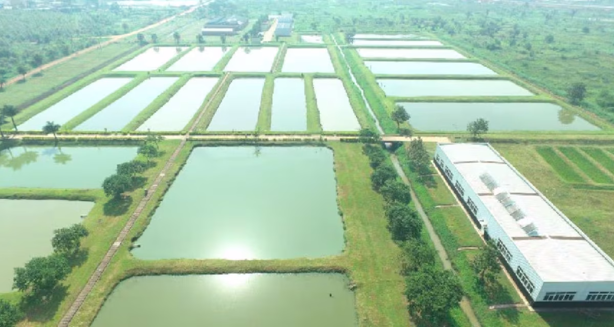 wa25 safari uganda fish farm credit was